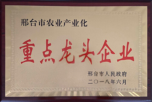 尊时凯龙·(中国区)人生就是搏!